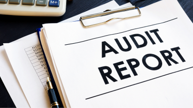 audit reports
