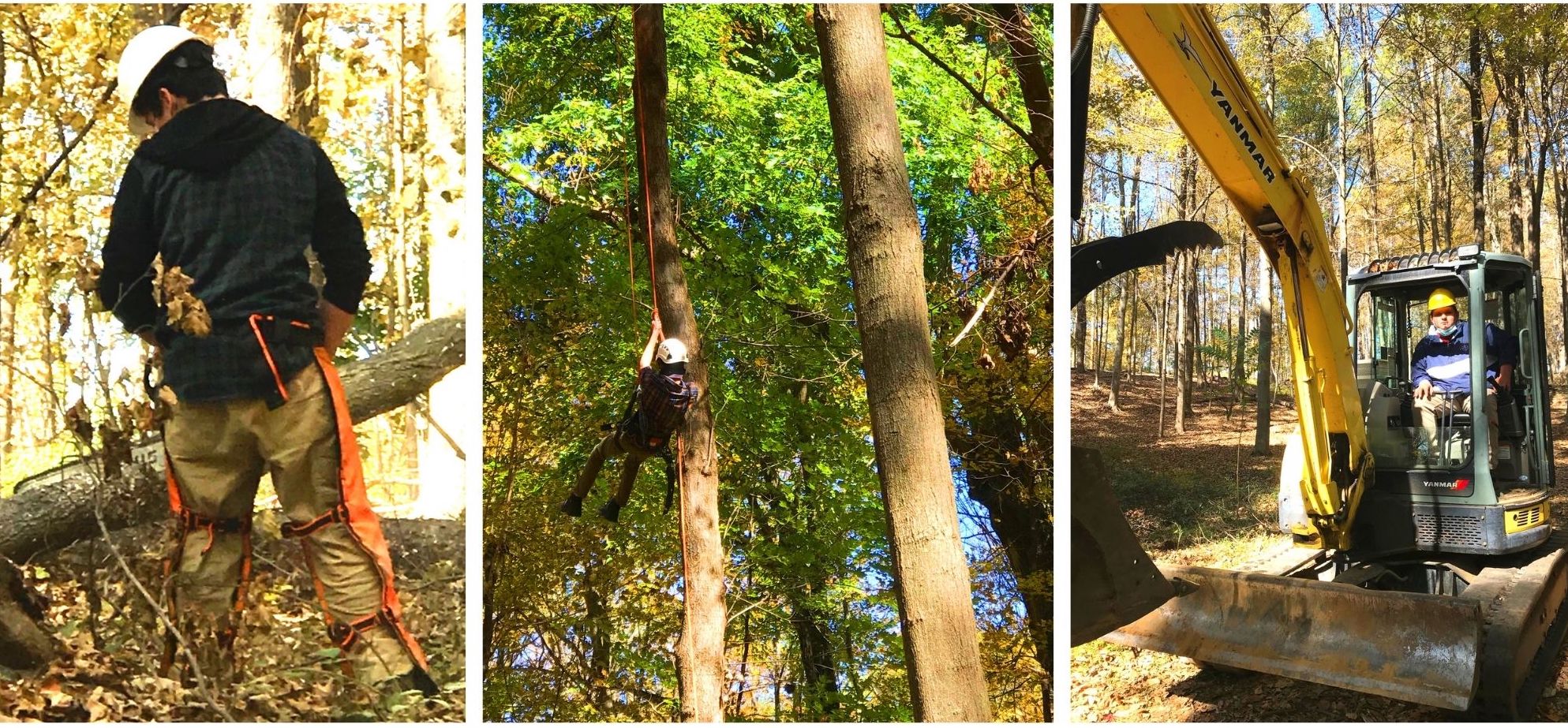 Students in urban forestry program clearing a walking trail