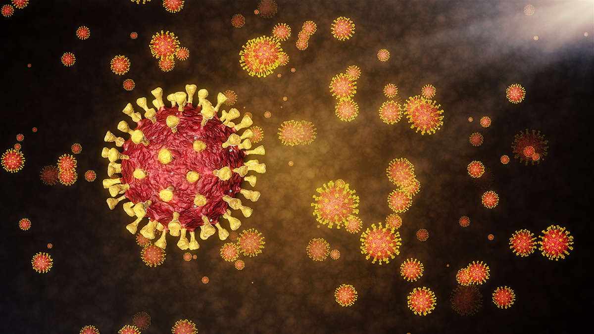 Coronavirus particles