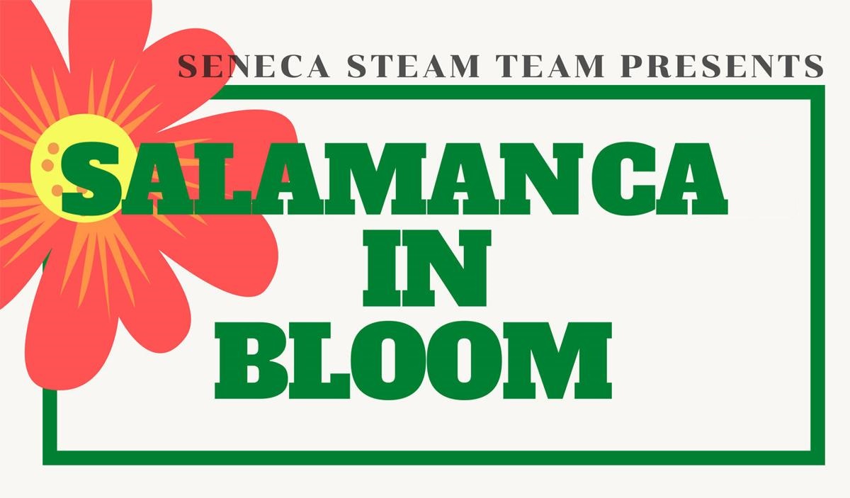 Salamanca Blooms Poster