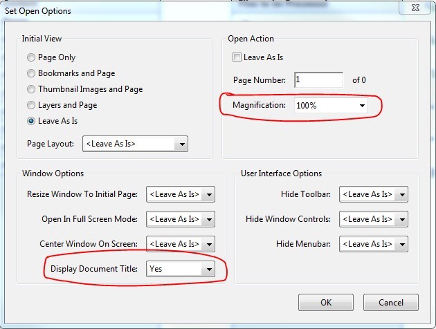 Set Open Options window. Under Open Action, Magnification is set to 100%. Under Window Options, Display Document Title is set for Yes.