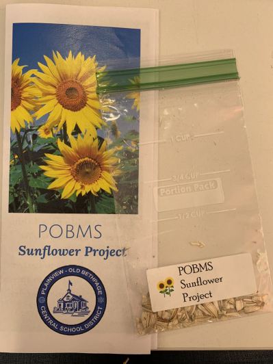 Sunflower seeds and brochure