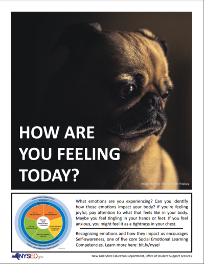 Sad Pug with the text "How are you feeling today?"