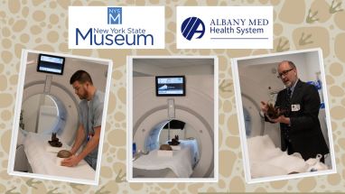 CT scans of dinosaur egg and Giant Beaver skull being conducted at Albany Medical Center