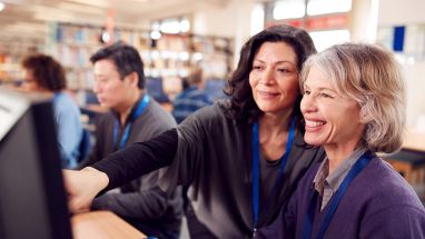Teachers working at computers