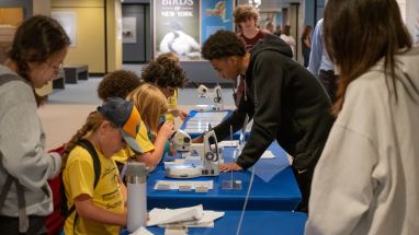 Student interns from the State Museum’s Youth Internship Program showcase their creativity and career potential through hands-on activities for visitors.